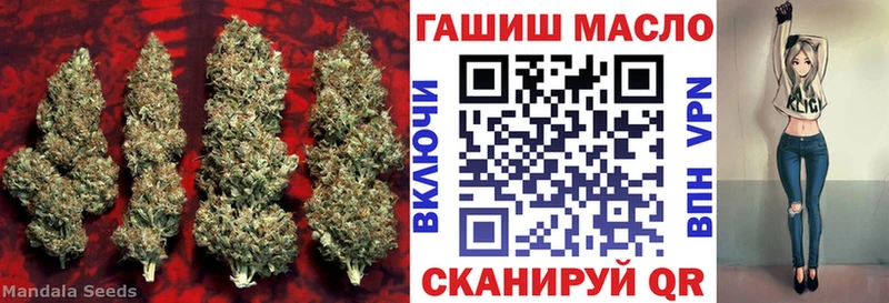 ТГК THC oil  нарко площадка как зайти  Кувшиново  OMG ТОР 